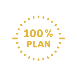 100% плана в срок